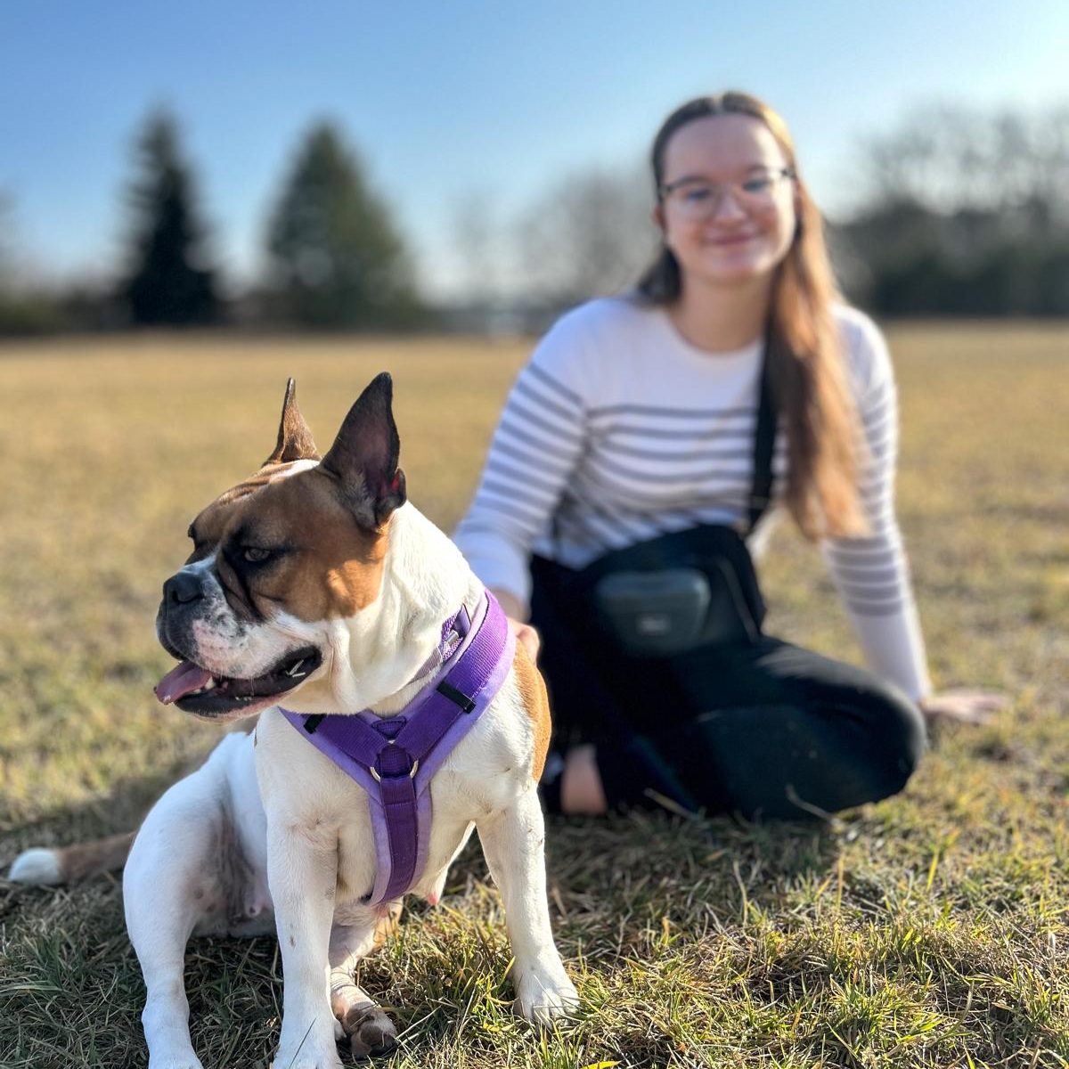 Hundeernährungsberatung bei Skyio